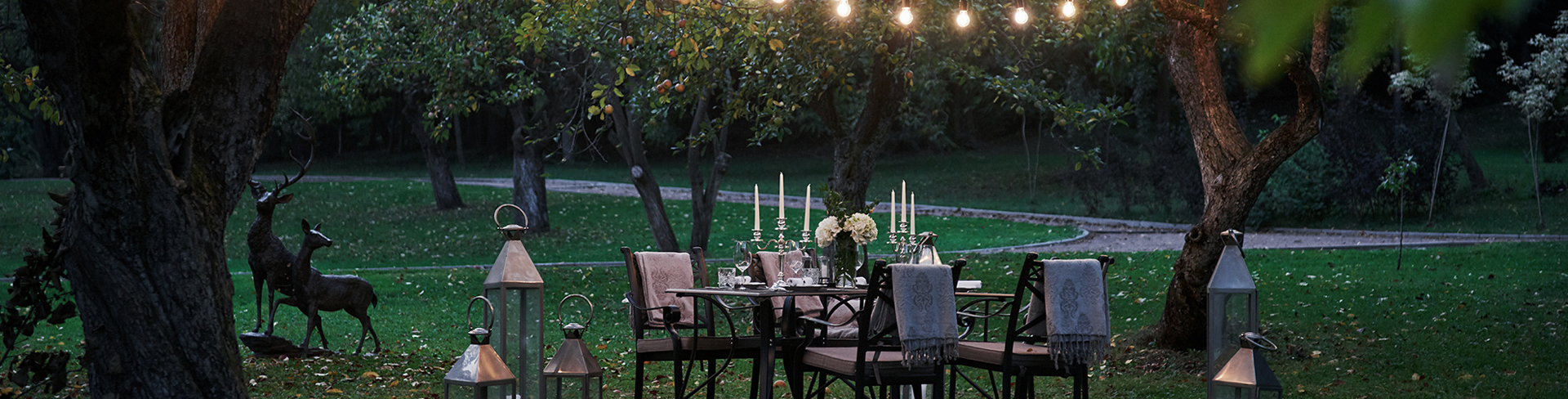 Forest-Natural-Event